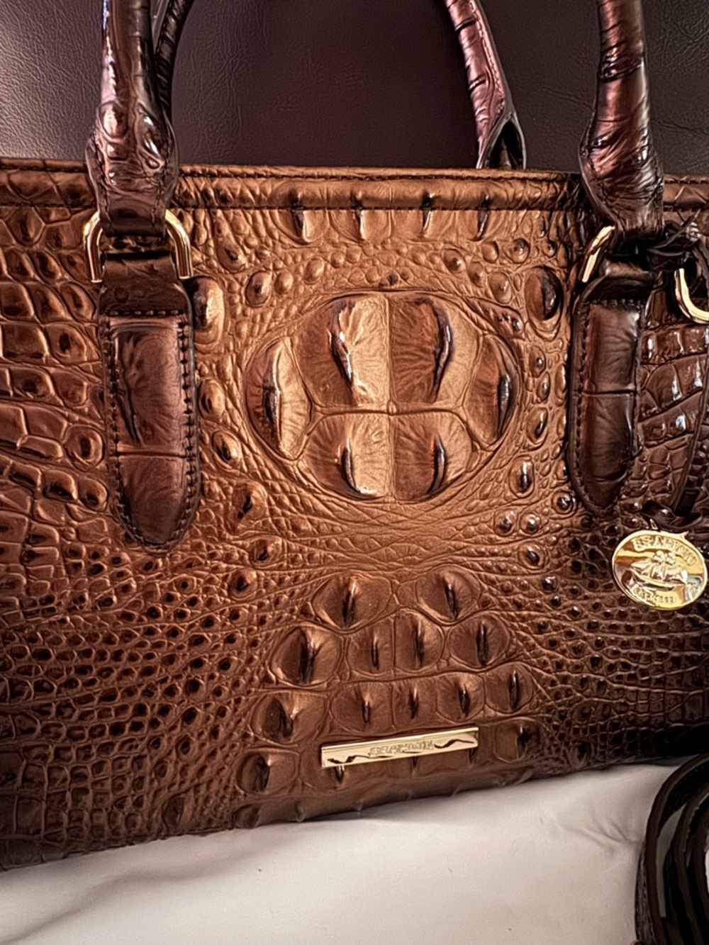 Brahmin Cami Satchel